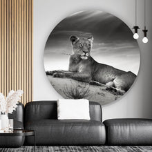 Lade das Bild in den Galerie-Viewer, Aluminiumbild gebürstet Anmutige Löwin Schwarz Weiß Kreis
