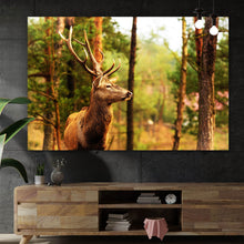 Lade das Bild in den Galerie-Viewer, Poster Anmutiger Hirsch Querformat