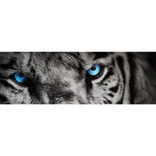 Lade das Bild in den Galerie-Viewer, Leinwandbild Anmutiger Tiger Panorama