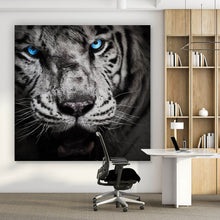 Lade das Bild in den Galerie-Viewer, Leinwandbild Anmutiger Tiger Quadrat