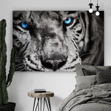 Lade das Bild in den Galerie-Viewer, Spannrahmenbild Anmutiger Tiger Querformat