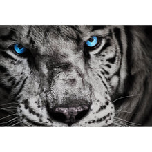 Lade das Bild in den Galerie-Viewer, Acrylglasbild Anmutiger Tiger Querformat