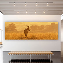 Lade das Bild in den Galerie-Viewer, Acrylglasbild Antilope in der Morgensonne Panorama