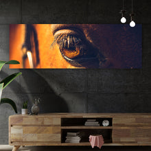 Lade das Bild in den Galerie-Viewer, Poster Auge eines Pferdes Panorama