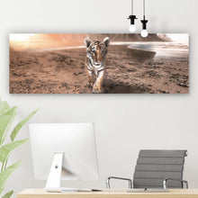 Lade das Bild in den Galerie-Viewer, Leinwandbild Baby Tiger Panorama