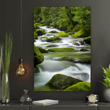 Lade das Bild in den Galerie-Viewer, Poster Bach mit Moos bedeckten Felsen Hochformat