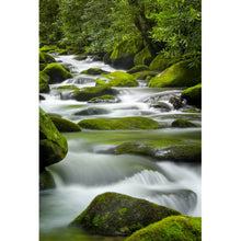 Lade das Bild in den Galerie-Viewer, Poster Bach mit Moos bedeckten Felsen Hochformat