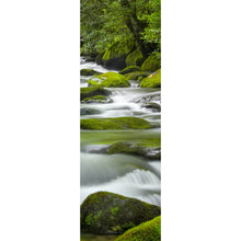 Lade das Bild in den Galerie-Viewer, Poster Bach mit Moos bedeckten Felsen Panorama Hoch
