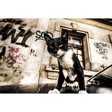 Lade das Bild in den Galerie-Viewer, Leinwandbild Bad Guy Querformat
