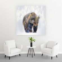 Lade das Bild in den Galerie-Viewer, Poster Bär im Schnee Quadrat