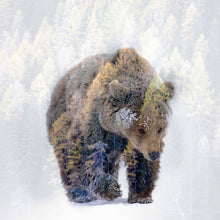 Lade das Bild in den Galerie-Viewer, Poster Bär im Schnee Quadrat
