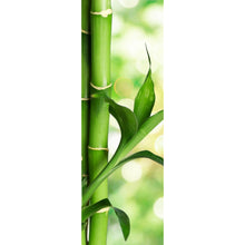 Lade das Bild in den Galerie-Viewer, Aluminiumbild Bambus Stiele Panorama Hoch