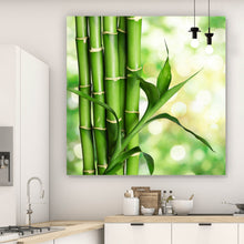 Lade das Bild in den Galerie-Viewer, Acrylglasbild Bambus Stiele Quadrat