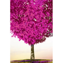 Lade das Bild in den Galerie-Viewer, Acrylglasbild Baum der Liebe Hochformat