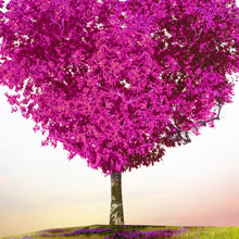 Lade das Bild in den Galerie-Viewer, Poster Baum der Liebe Quadrat