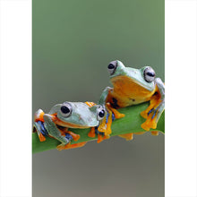 Lade das Bild in den Galerie-Viewer, Leinwandbild Baumfrösche Hochformat