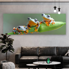 Lade das Bild in den Galerie-Viewer, Spannrahmenbild Baumfrösche Panorama