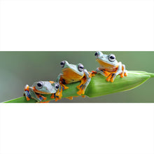 Lade das Bild in den Galerie-Viewer, Leinwandbild Baumfrösche Panorama