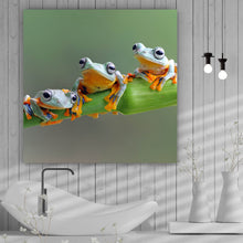 Lade das Bild in den Galerie-Viewer, Spannrahmenbild Baumfrösche Quadrat