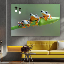Lade das Bild in den Galerie-Viewer, Aluminiumbild gebürstet Baumfrösche Querformat