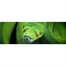 Lade das Bild in den Galerie-Viewer, Leinwandbild Baumpython Panorama