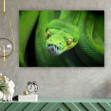 Lade das Bild in den Galerie-Viewer, Leinwandbild Baumpython Querformat