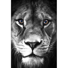 Lade das Bild in den Galerie-Viewer, Poster Beautiful Lion Hochformat
