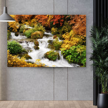 Lade das Bild in den Galerie-Viewer, Acrylglasbild Bergbach durch Herbstlandschaft Querformat