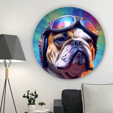 Lade das Bild in den Galerie-Viewer, Aluminiumbild gebürstet Biker Bulldogge Modern Art Kreis