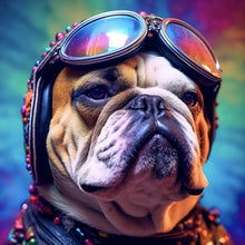 Lade das Bild in den Galerie-Viewer, Leinwandbild Biker Bulldogge Modern Art Quadrat