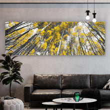 Lade das Bild in den Galerie-Viewer, Poster Birkenwald im Herbst Panorama