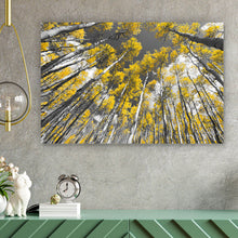 Lade das Bild in den Galerie-Viewer, Poster Birkenwald im Herbst Querformat