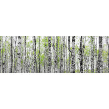 Lade das Bild in den Galerie-Viewer, Leinwandbild Birkenwald mit Laub Panorama