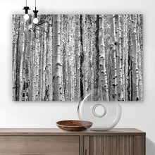 Lade das Bild in den Galerie-Viewer, Acrylglasbild Birkenwald Querformat