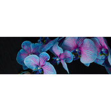 Lade das Bild in den Galerie-Viewer, Spannrahmenbild Blaue Orchidee auf schwarzem Hintergrund Panorama