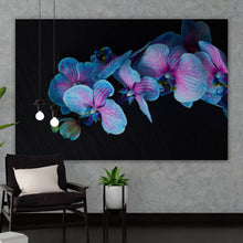 Lade das Bild in den Galerie-Viewer, Acrylglasbild Blaue Orchidee auf schwarzem Hintergrund Querformat