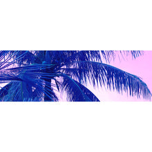 Lade das Bild in den Galerie-Viewer, Poster Blaue Palme mit Rosa Himmel Panorama