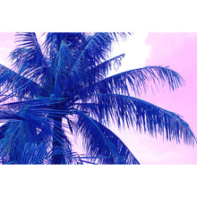 Lade das Bild in den Galerie-Viewer, Poster Blaue Palme mit Rosa Himmel Querformat