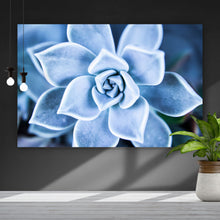 Lade das Bild in den Galerie-Viewer, Poster Blaue Sukkulente Querformat
