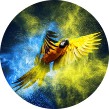 Lade das Bild in den Galerie-Viewer, Aluminiumbild gebürstet Blauer Ara Kreis