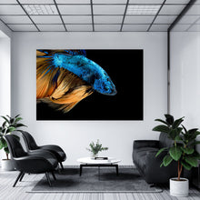 Lade das Bild in den Galerie-Viewer, Spannrahmenbild Blauer Fisch Auf Schwarz Querformat