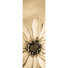 Lade das Bild in den Galerie-Viewer, Poster Blühende Gerbera in Sepia Panorama Hoch