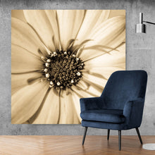 Lade das Bild in den Galerie-Viewer, Poster Blühende Gerbera in Sepia Quadrat