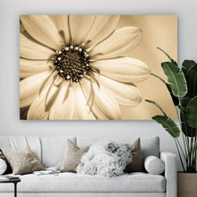 Lade das Bild in den Galerie-Viewer, Poster Blühende Gerbera in Sepia Querformat