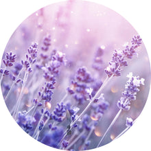 Lade das Bild in den Galerie-Viewer, Aluminiumbild gebürstet Blühender Lavendel Kreis
