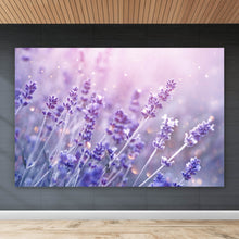 Lade das Bild in den Galerie-Viewer, Aluminiumbild gebürstet Blühender Lavendel Querformat