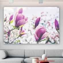 Lade das Bild in den Galerie-Viewer, Aluminiumbild gebürstet Blühender Magnolienbaum Querformat