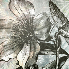 Lade das Bild in den Galerie-Viewer, Leinwandbild Blüte in grau Tönen Quadrat