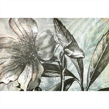 Lade das Bild in den Galerie-Viewer, Poster Blüte in grau Tönen Querformat