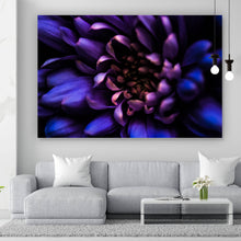 Lade das Bild in den Galerie-Viewer, Aluminiumbild gebürstet Blüte Violett Querformat